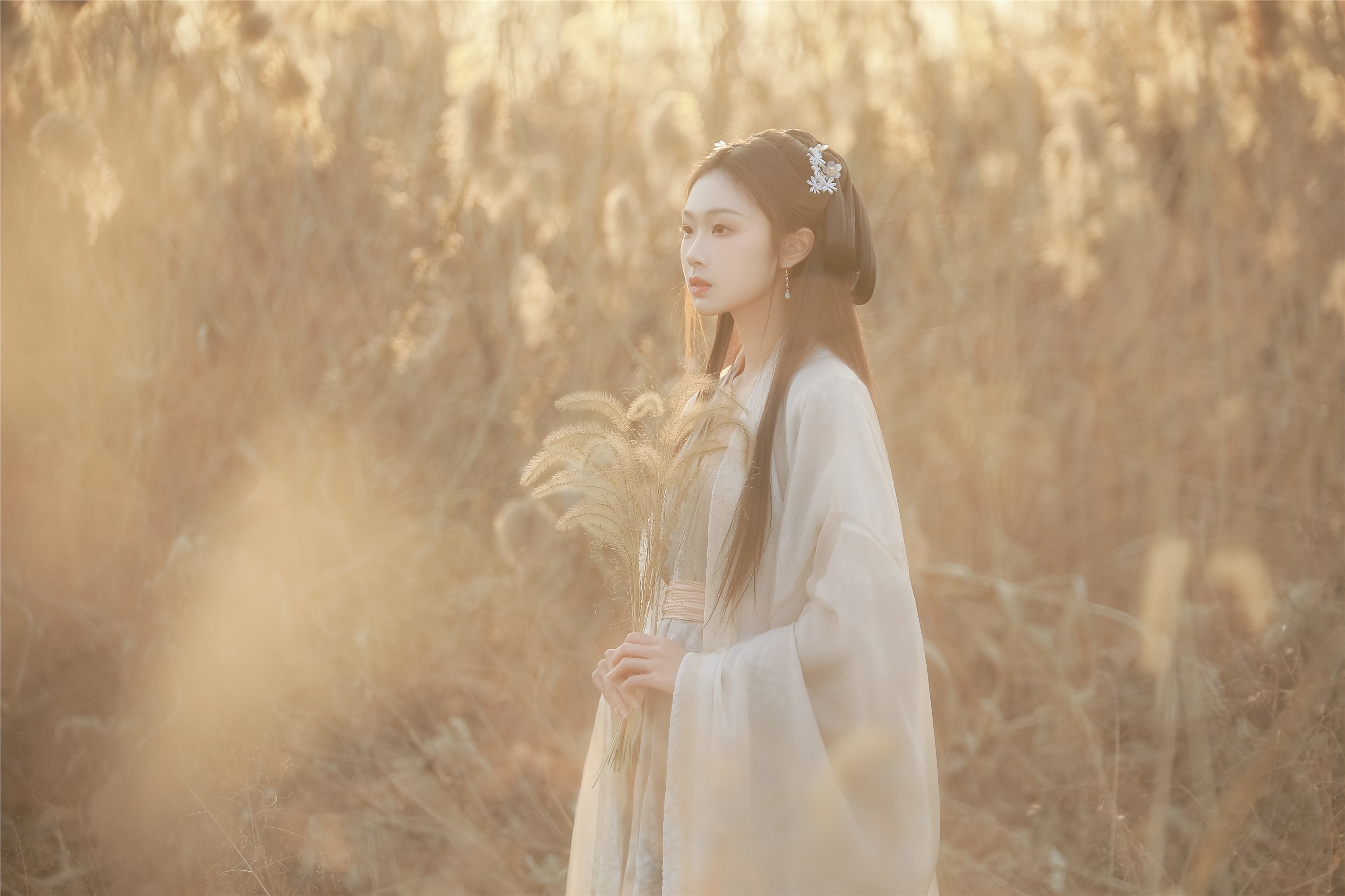 YITUYU艺图语 2025.01.28 叹秋 溱溱